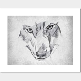 Wolf - Handmade Pencil Drawing Posters and Art